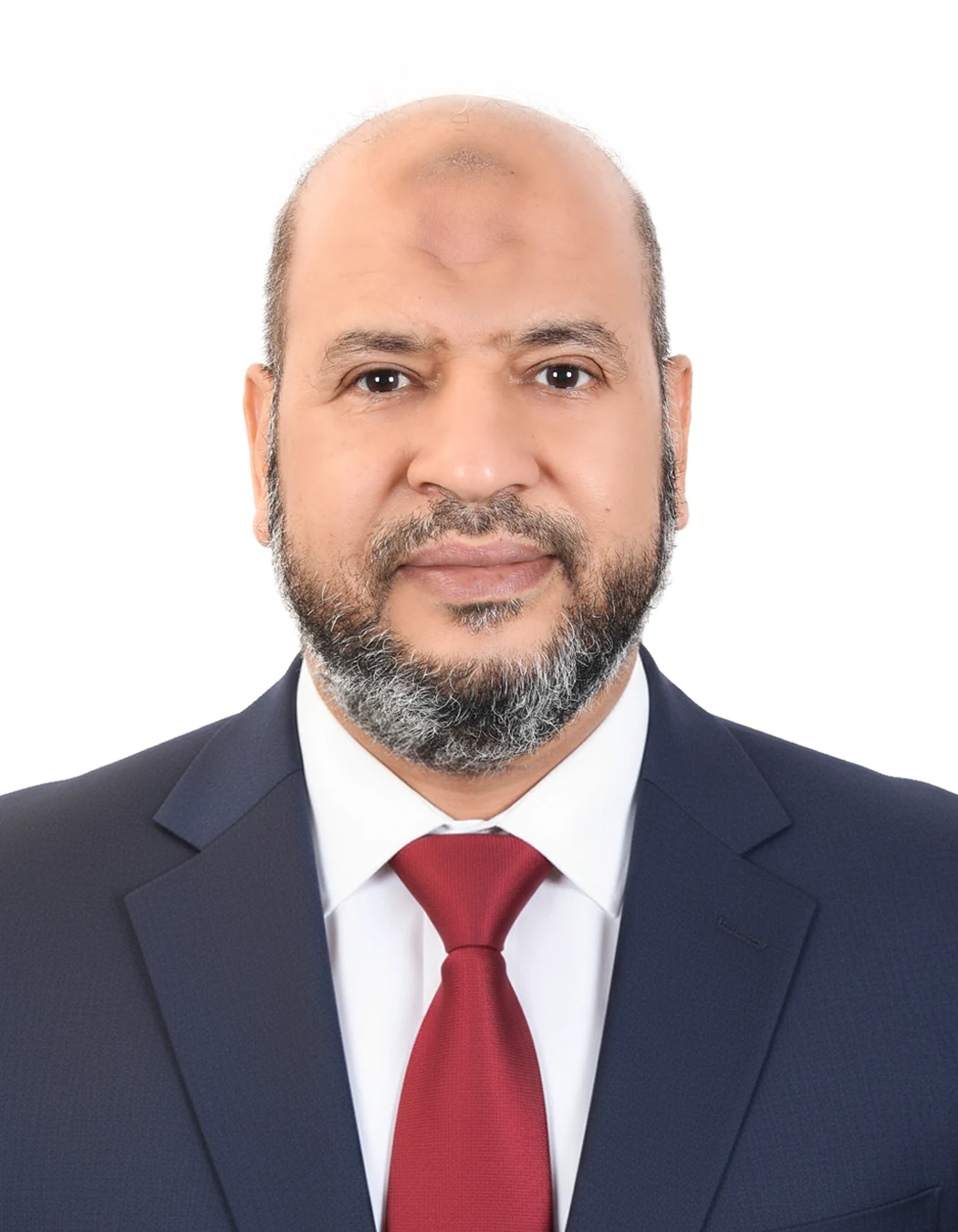الدكتور المحامي محمد عبد الحميد الرملاوي